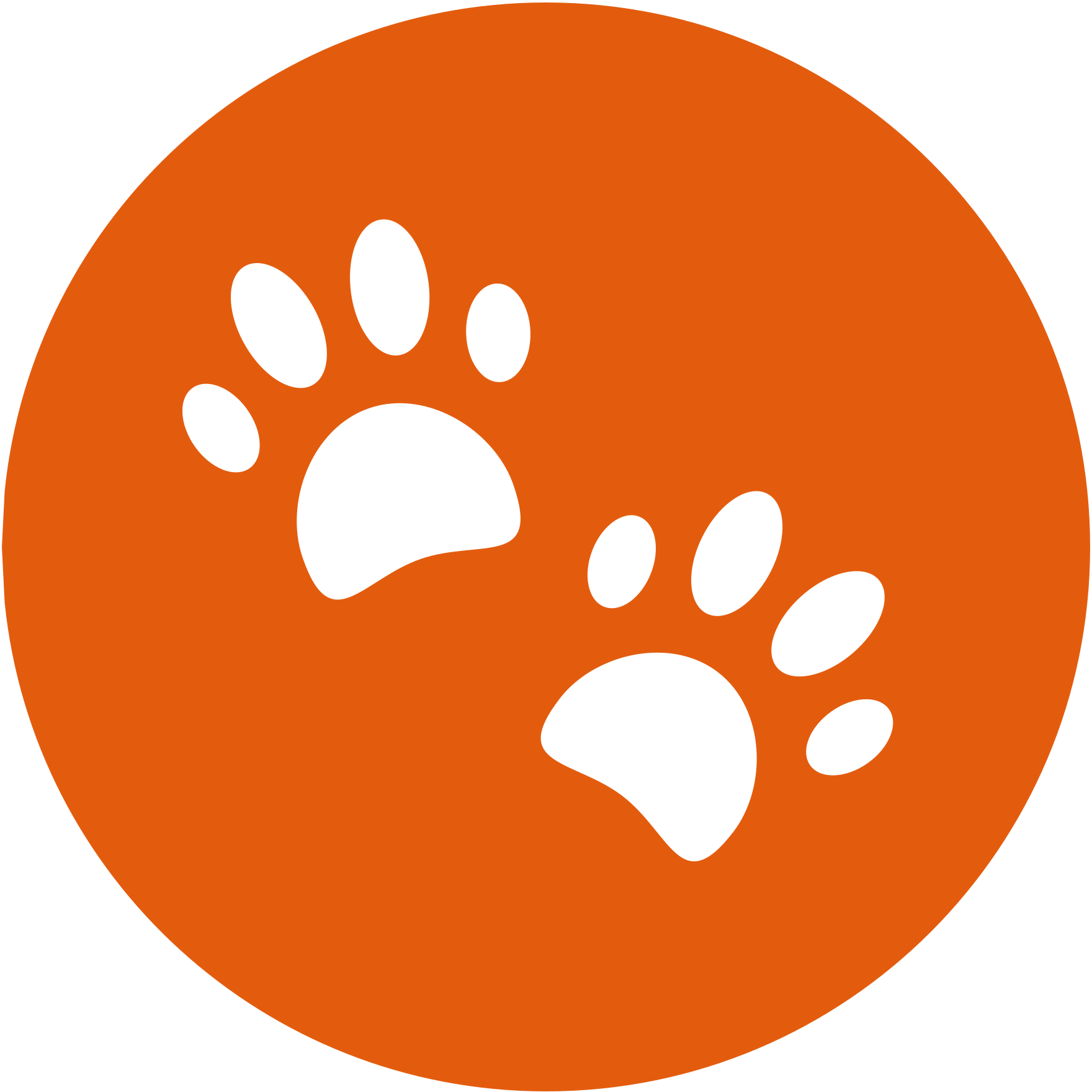 我的会说话的宠物