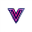 VidgoAI