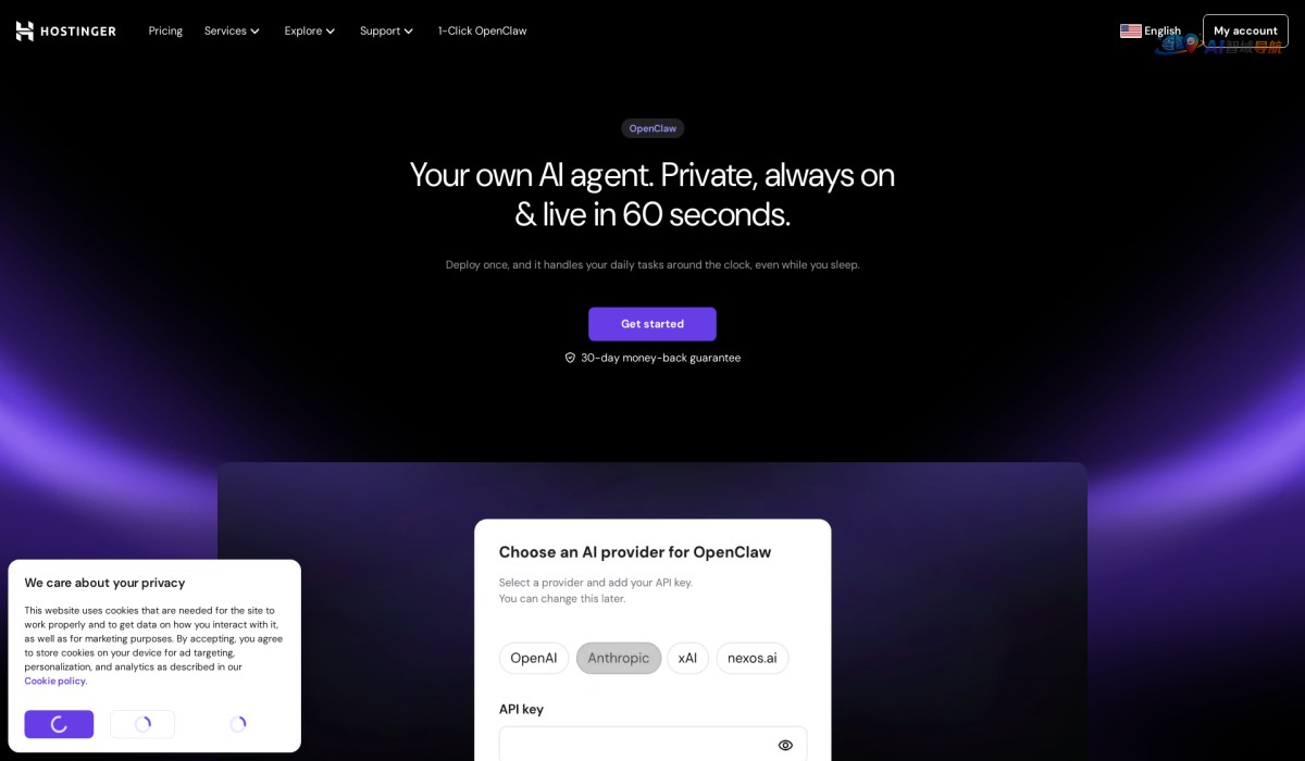Hostinger 1-Click OpenClaw截图
