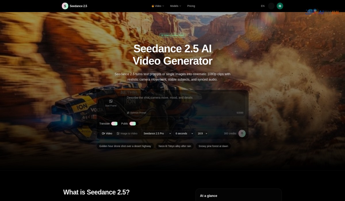 Seedance 2.5截图