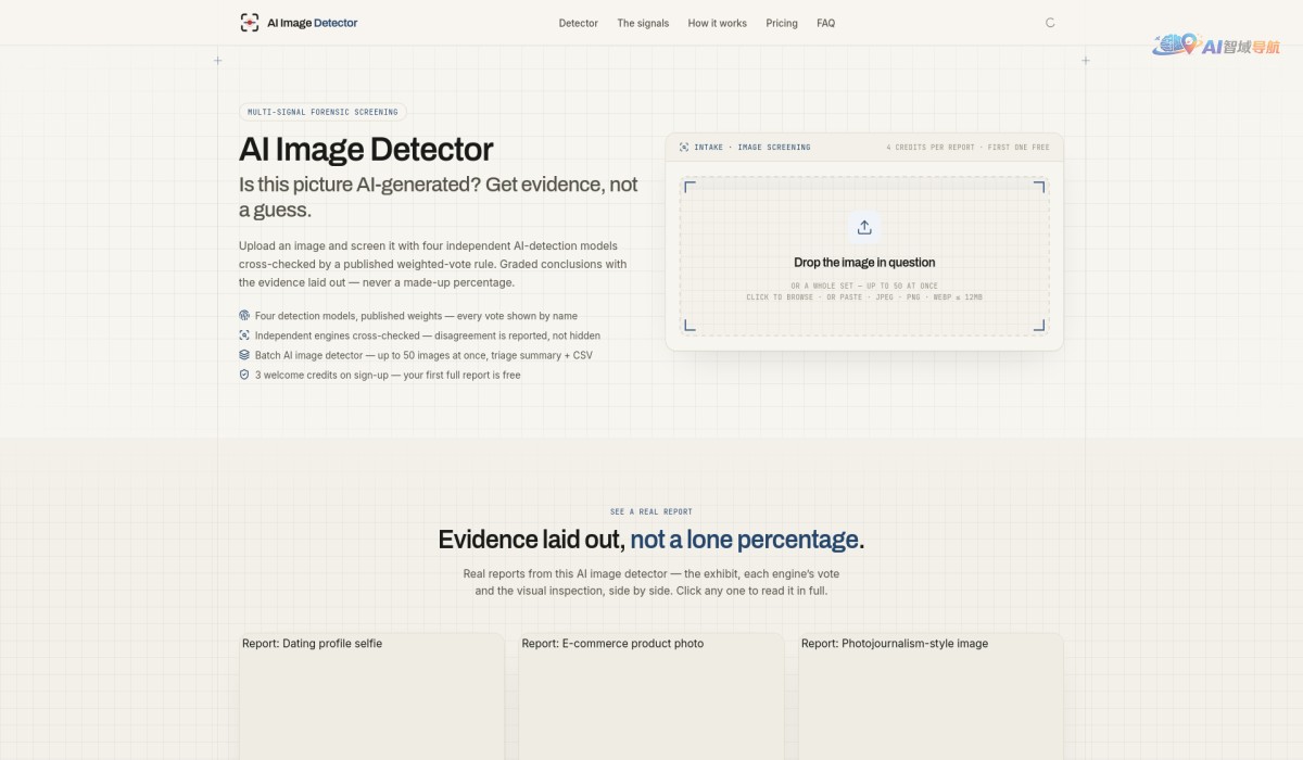 AI Image Detector截图