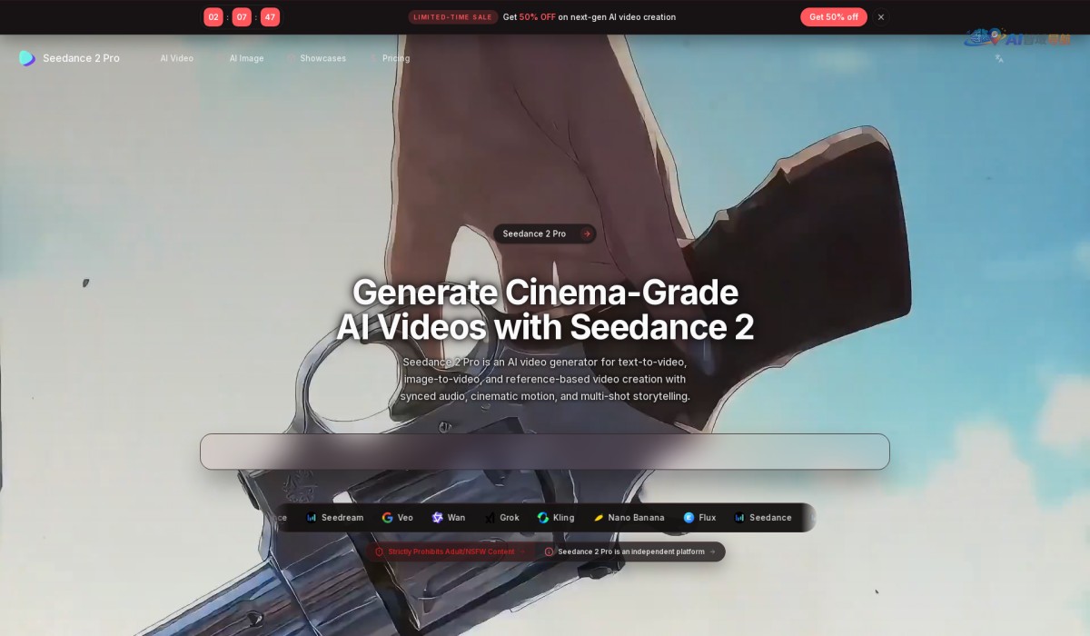 Seedance 2 Pro截图