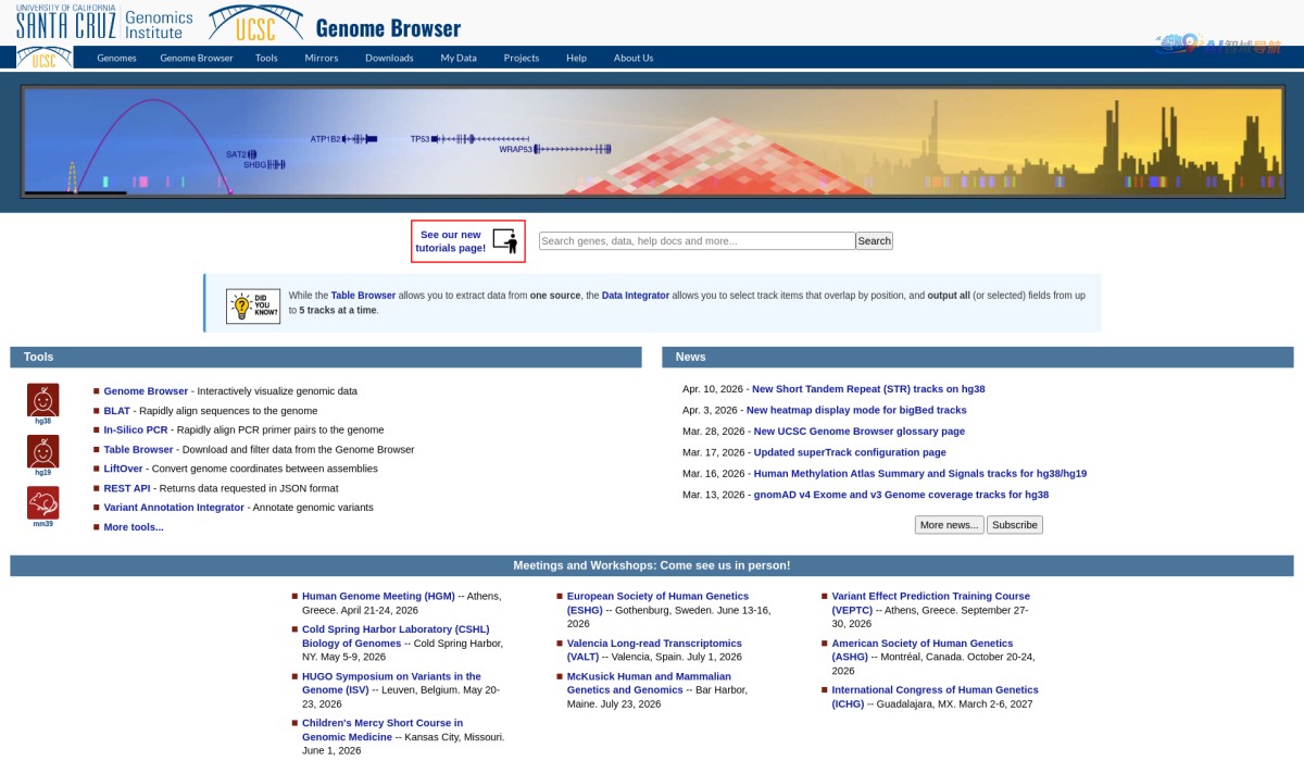 UCSC Genome Browser截图