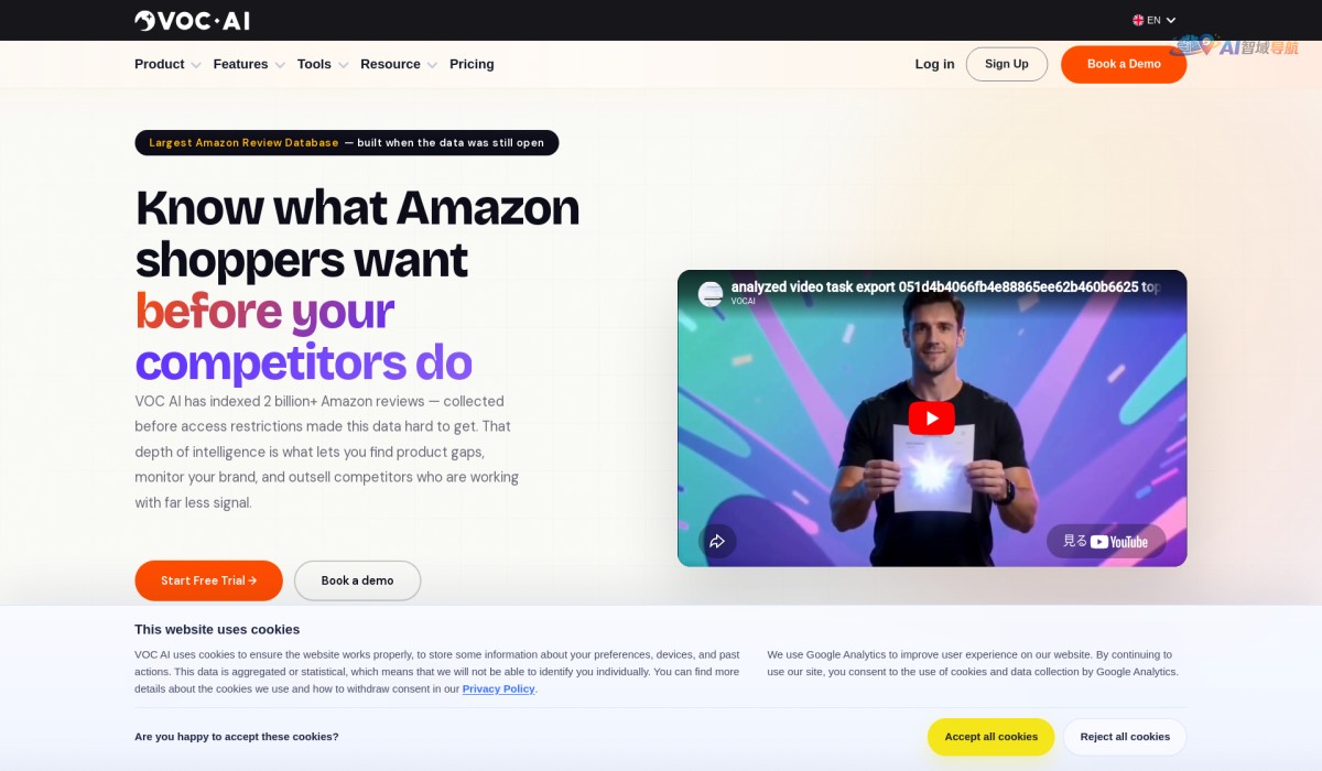 VOC AI Insight Tool截图