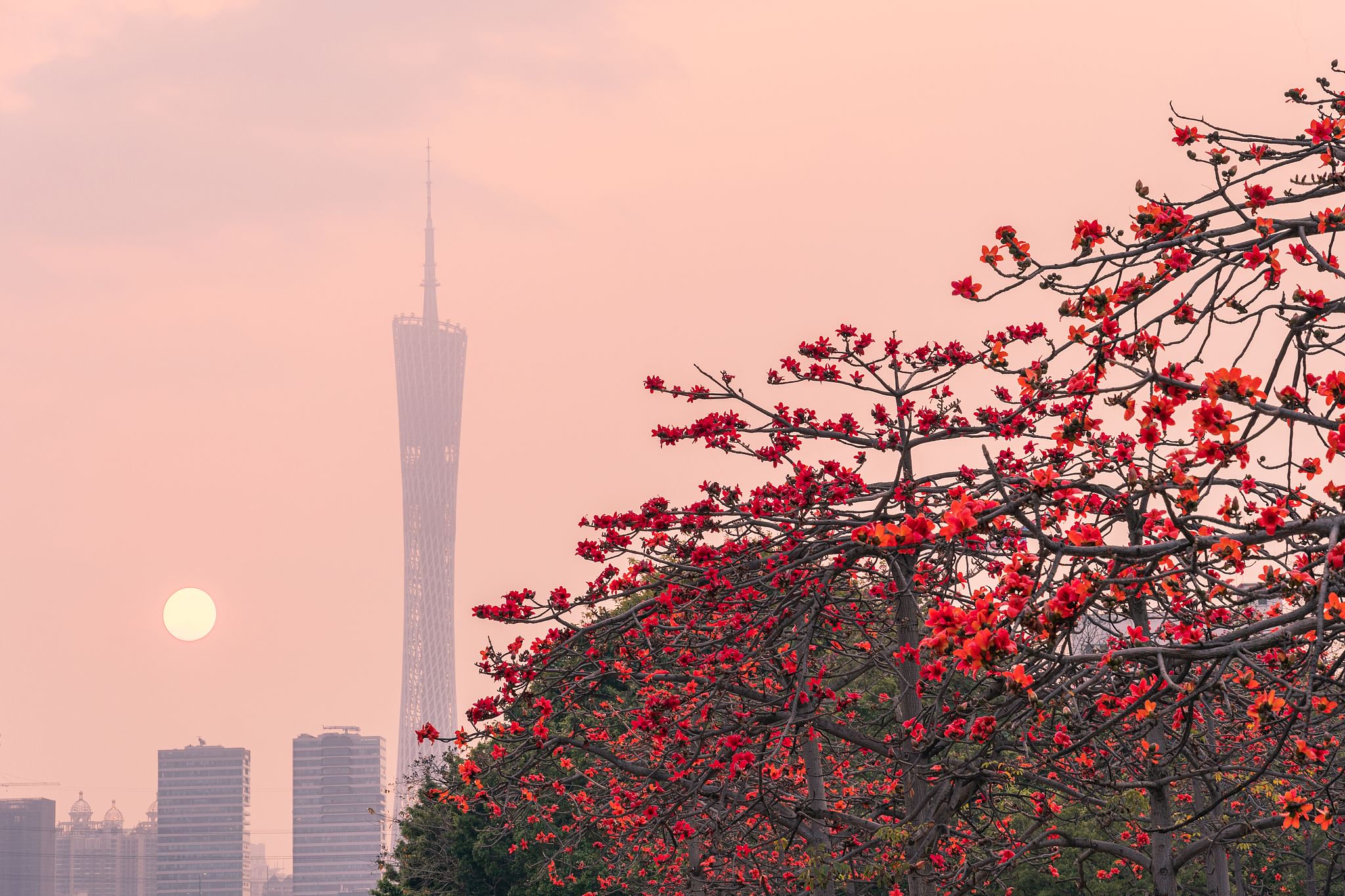 MiniMax进军广州，“中国大模型第一股”的大湾区棋局怎么下？