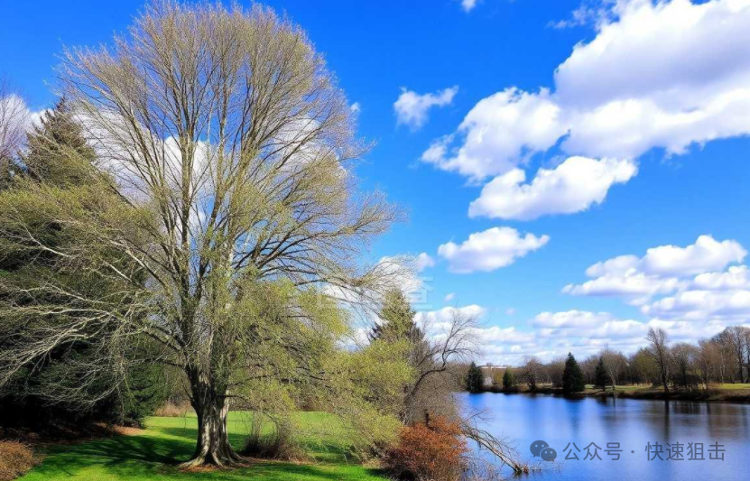 交个朋友控股2025年净利润0.88亿元，同比上涨21.4%