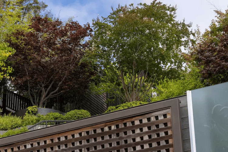 突发：奥特曼豪宅遭二次袭击，燃烧弹之后又是深夜枪响