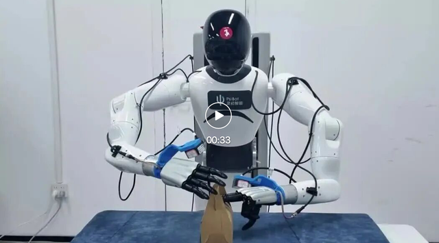 中国具身模型狂揽全球第一！机器人的人类数据时代来了