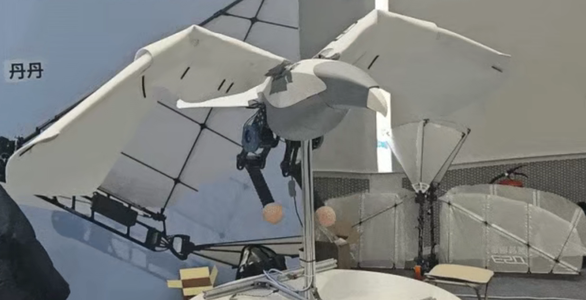 00后交大博士造飞行机器人，融资超千万，交大投了