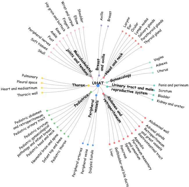 36.4万超声图文对！中国团队构建首个大规模超声专属数据集，让AI真正读懂临床诊断语义丨CVPR’26
