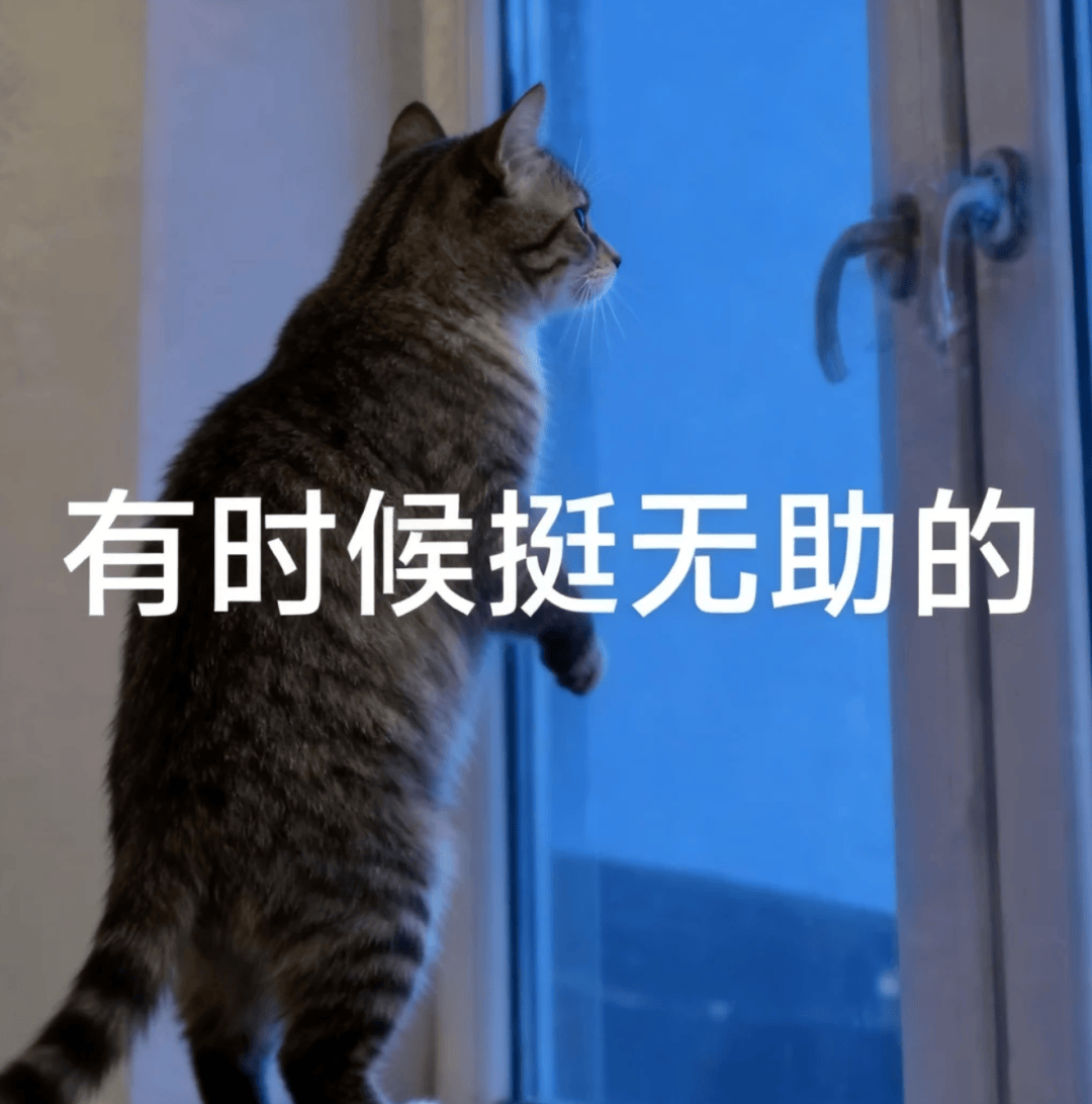 刚刚，国产Agent模型闯入全球第一梯队，限时免费