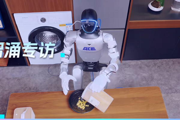 融了数亿美金的「大晓机器人」,其创始人揭开了具身行业的割裂一面