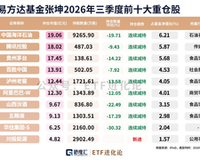张坤独管基金,十大重仓半数押注全球AI半导体